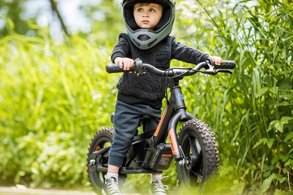 Elektrický balančný bicykel pre deti Harley-Davidson IronE12.