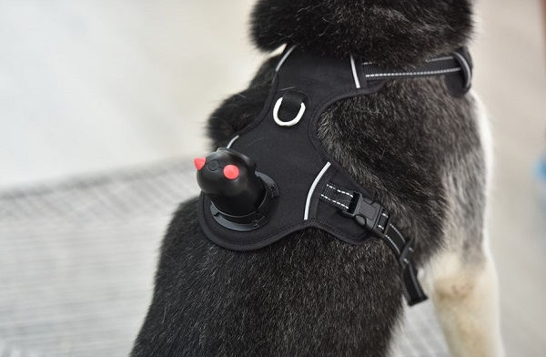 Monitorovacia kamera pre psov PetNow.