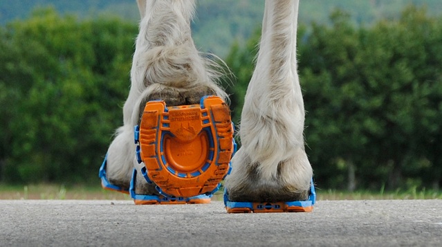 Megasus Horserunners sú inovatívne konské podkovy, ktoré pomáhajú kopytám k prirodzenému pohybu