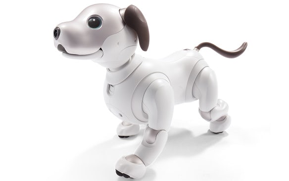 Robotický spoločník Sony Aibo.