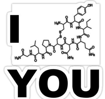 Chemicke vyjadrenie lasky
