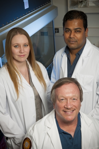 DNA, Alzheimer, Alzheimerova choroba, Parkinsonova choroba, rakovina prsníka, zabúdanie, zmätenosť, testy na Alzheimerovu chorobu, medicínsky vývoj, zhoršenie pamäti, krvné testy