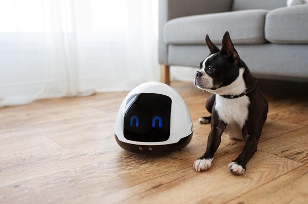 Autonómny robot Mia priláka svojim pohybom vášho zvieracieho miláčika. Pes alebo mačka by ho tak mali zvedavo nasledovať, čo prispeje k fyzickému pohybu a k psychickej stimulácii.