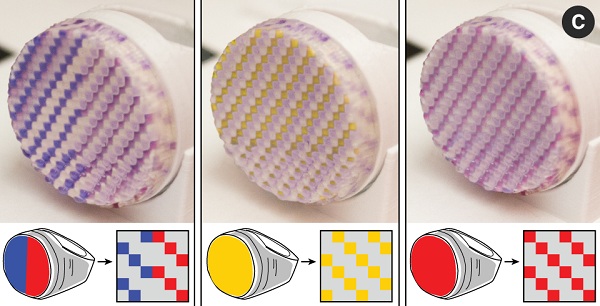 Vedci z MIT vyvinuli technológiu 3D tlače s názvom ColorFab, ktorá umožní zmenu farieb vytlačených objektov.