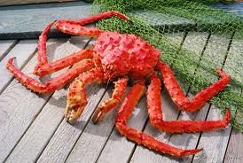 takto by mal vyzerať klasický krab kráľovský