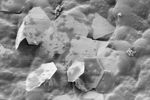 Mikroskopická snímka nanočastíc zlata integrovaných do polymérovej latexovej matrice