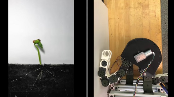 Prototyp rastuceho robota z MIT.