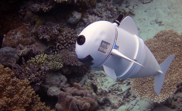 Výskumníci z MIT vytvorili robotickú rybu SoFi, ktorá má mäkké telo a tichý pohon na batériu.