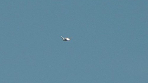 Raketoplán Dream Chaser úspešne dokončil kĺzavý let aj pristátie.