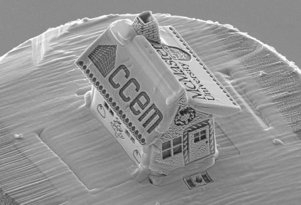 Mikroskopický "perníkový" domček z Kanadského centra pre elektrónovú mikroskopiu (CCEM).
