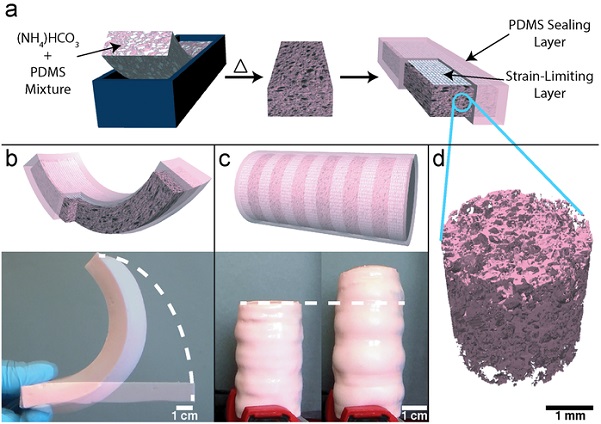 umelé srdce, pena, penový materiál, elastická pena, silikón, porézny materiál, kvapalina, 3D tlač, forma, univerzita, Cornell, uhlík, plášť, opláštenie, technológie, novinky