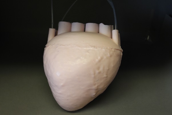 umelé srdce, pena, penový materiál, elastická pena, silikón, porézny materiál, kvapalina, 3D tlač, forma, univerzita, Cornell, uhlík, plášť, opláštenie, technológie, novinky