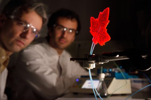 Vedci z Technologickej univerzity Eindhoven vytvorili umelý list, ktorý pomocou slnečného žiarenia dokáže meniť vlastnosti látok, ktoré ním prechádzajú